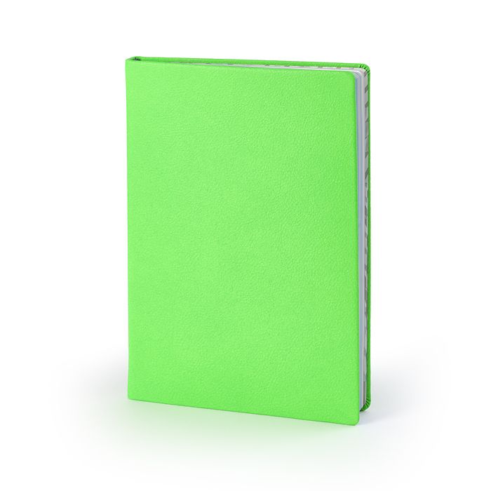 Notizbuch A5, Leder Glaring Green, blanko, Bild 1